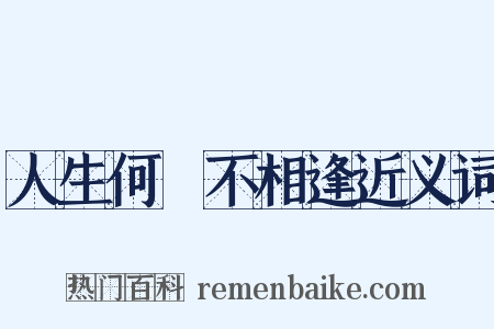 人生何處不相逢近义词是什么意思的图片